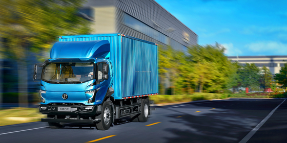 2024 Feidie Cars EW5 3-Sitzer Elektro-Van 8T Lkw mit Ledersitzen und 290 km Reichweite