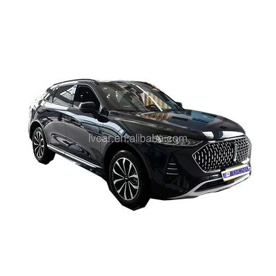 Effizienz noch nie gesehen Dieser gute Wei Mocha Hybrid-Elektro-SUV mit 2915 Radstand