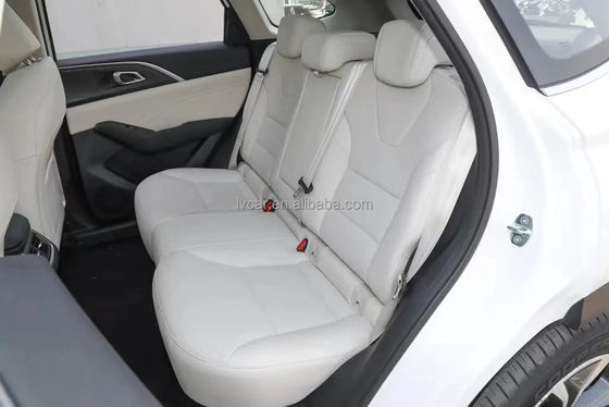 Great Wall Cars Auto Pickup Truck mit Rollbar und Linkslenkslenker