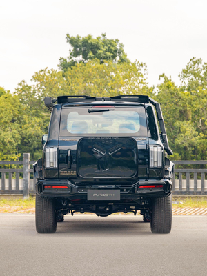 Elektrische Fahrersitzregelung Tank Cyper 300 R21 Off-Road SUV Benzinfahrzeug für Erwachsene