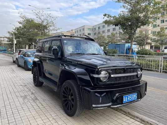 Tank 300 SUV-Auto mit Rückkamera und automatischer Klimaanlage in kundenspezifischer Version