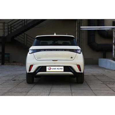BYD Dolphin's Micro Car von 2024 mit 100% elektrischem Kraftstoff und 1 Stunde Ladezeit