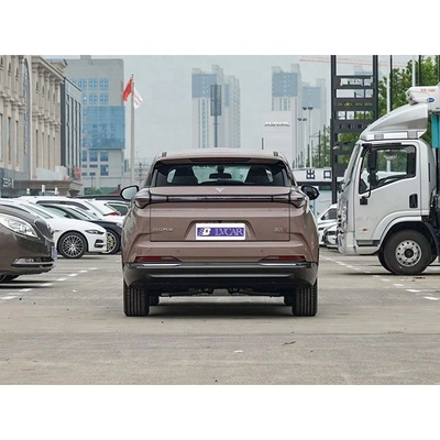Neta U-II 500's neueste elektrische SUV für Haushalte 500 km reine elektrische Reichweite in Braun