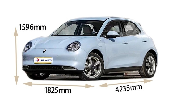 2024 Good Cat Gebraucht-Elektroauto mit 360° Rückkamera und automatischer Klimaanlage