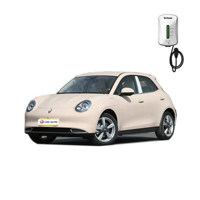 2023 ORA Elektro-SUV-Auto mit automatischer Klimaanlage und Auto-Entertainment System