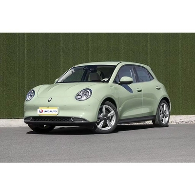 360° Rückkamera Elektro-Hinterfenster für 2024 Grün ORA Große Mauer Ora Good Cat Car